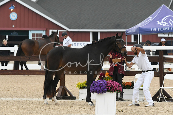 HSM_6323