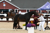 HSM_6324