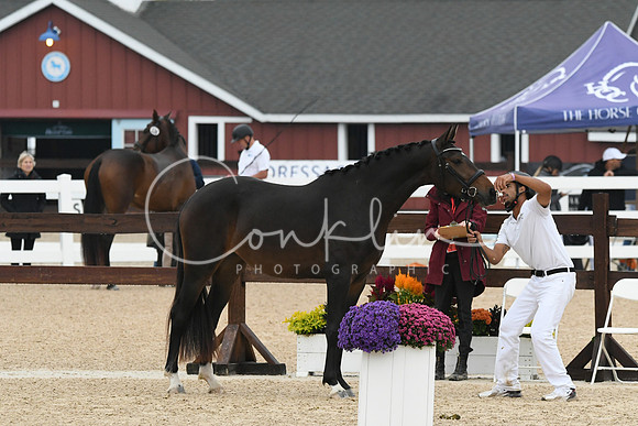 HSM_6324