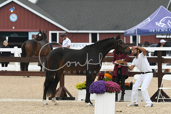 HSM_6325