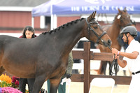 HSM_6326