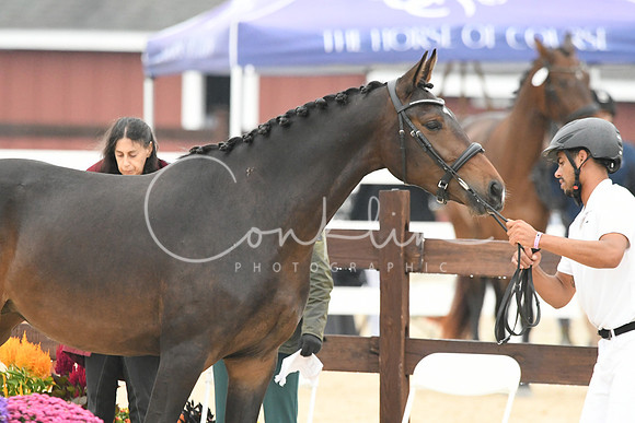 HSM_6326
