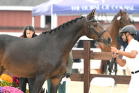 HSM_6327
