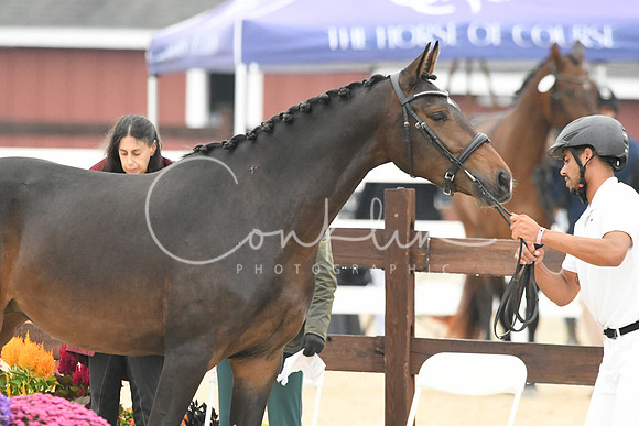 HSM_6327