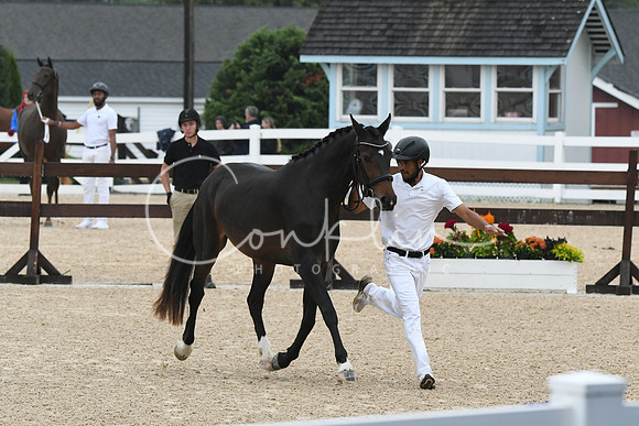HSM_6330