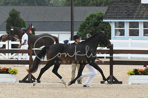 HSM_6333