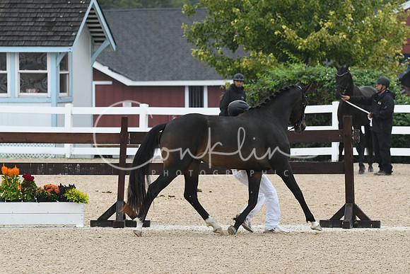 HSM_6335