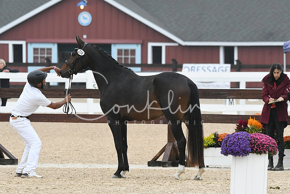 HSM_6337