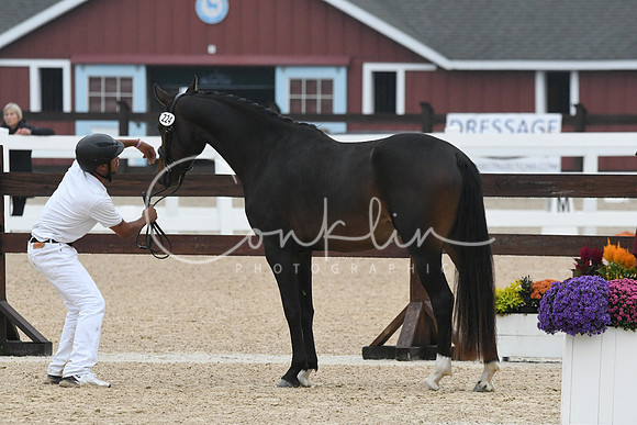 HSM_6339