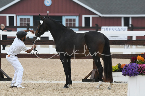 HSM_6338