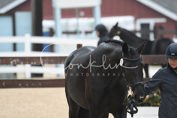 HSM_6232