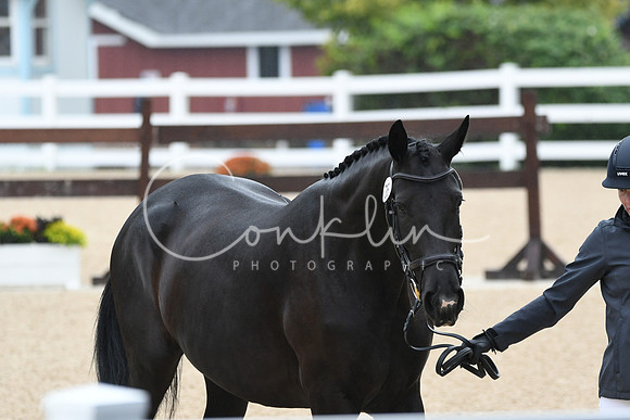 HSM_6234