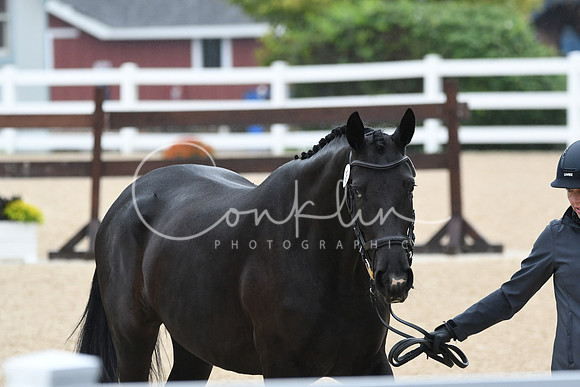 HSM_6235