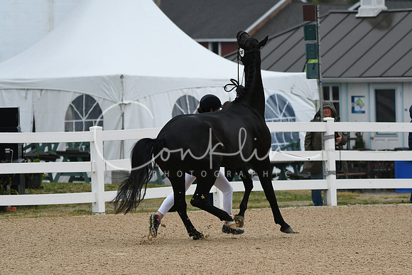 HSM_6236