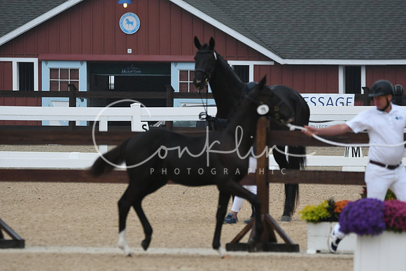 HSM_6220
