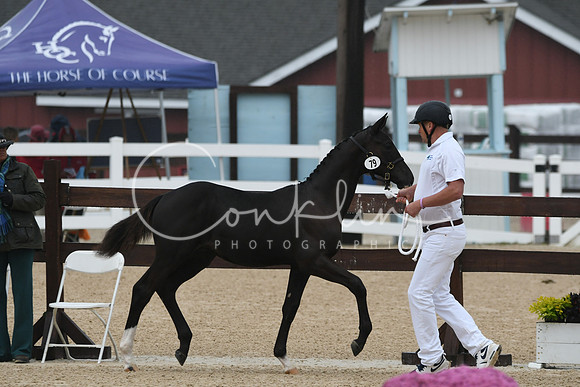 HSM_6221
