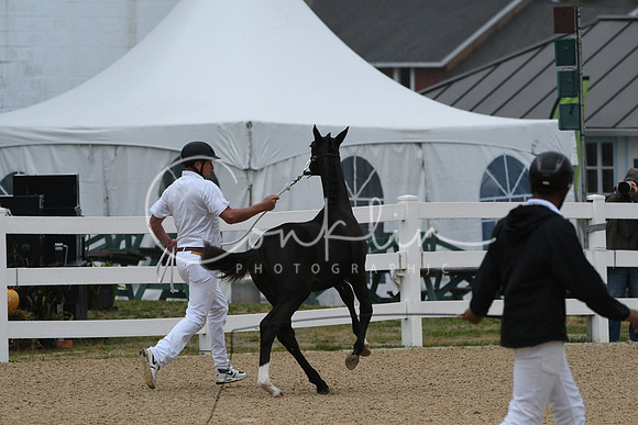 HSM_6217