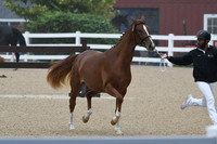 HSM_6179