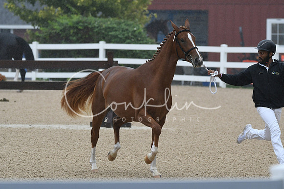 HSM_6179