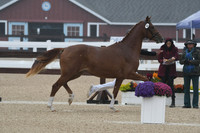HSM_6181