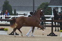 HSM_6183