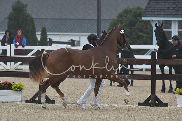 HSM_6183