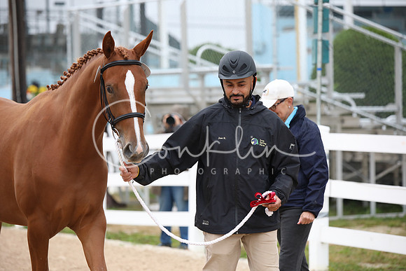BW184552