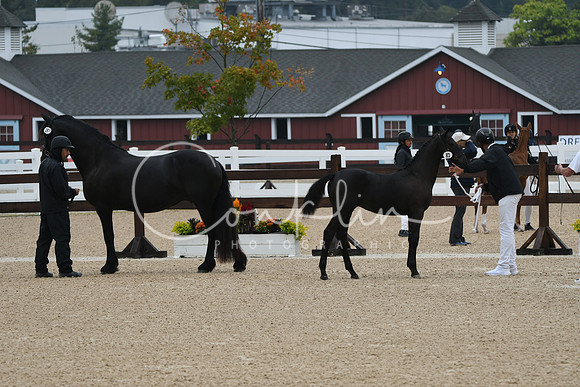 HSM_6272