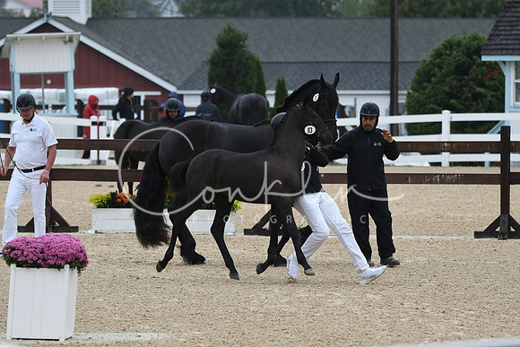 HSM_6252