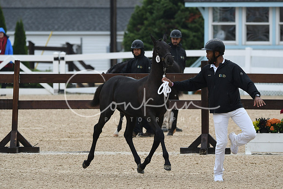 HSM_6258