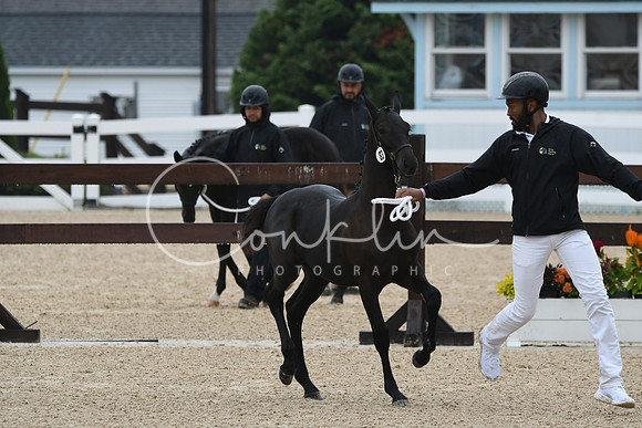 HSM_6259