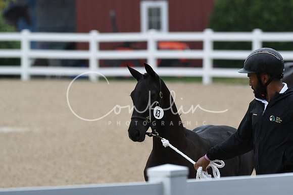 HSM_6261