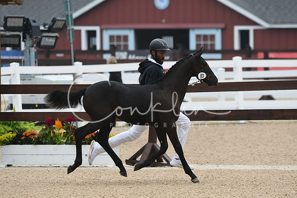 HSM_6263