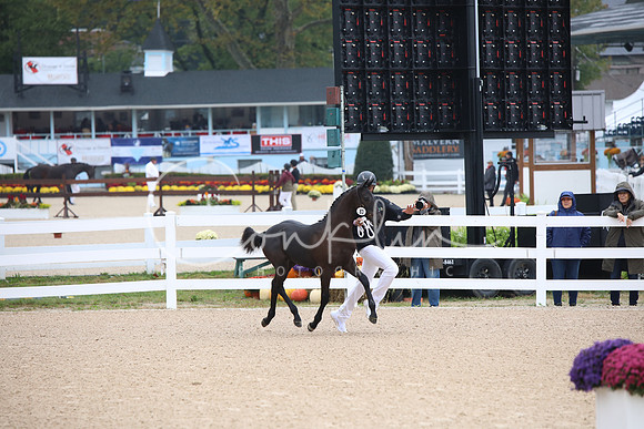 BW184349