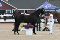 HSM_6395