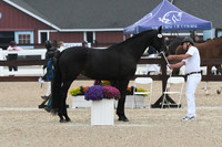 HSM_6396
