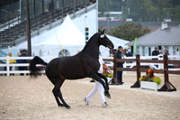 BW184478