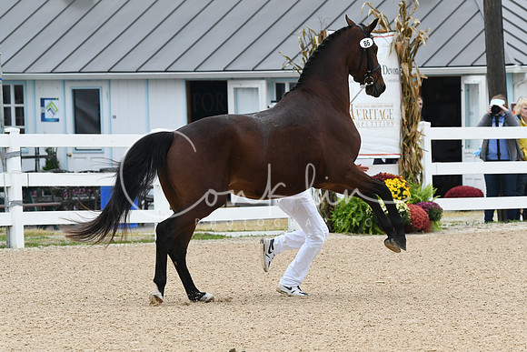 HSM_6295