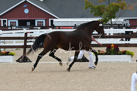 HSM_6296