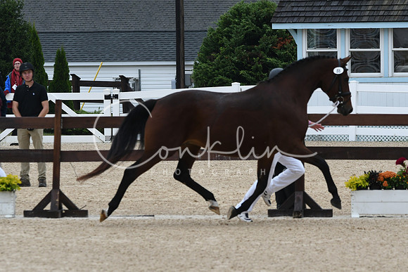 HSM_6297