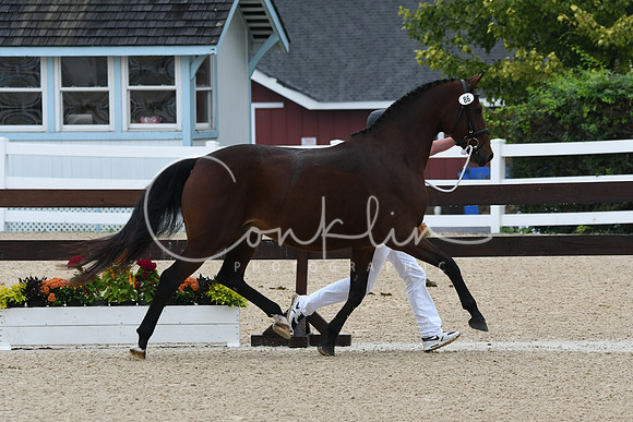 HSM_6298