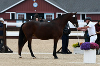 HSM_6289