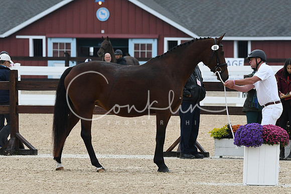 HSM_6289