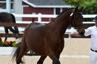 HSM_6291