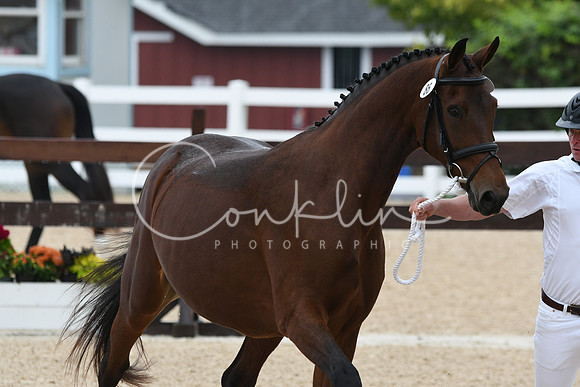 HSM_6291
