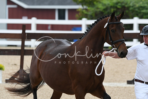HSM_6292