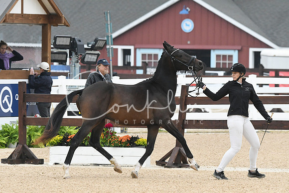 HSM_6415
