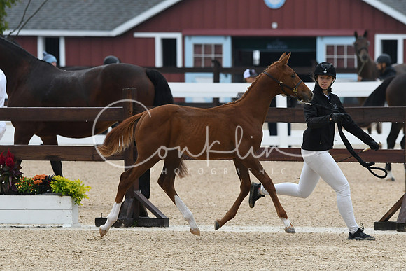 HSM_6281