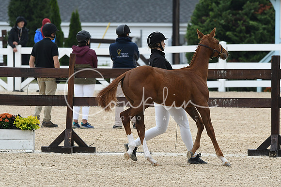 HSM_6282