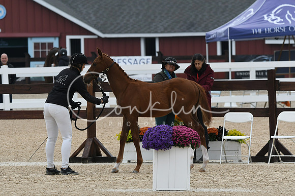 HSM_6283